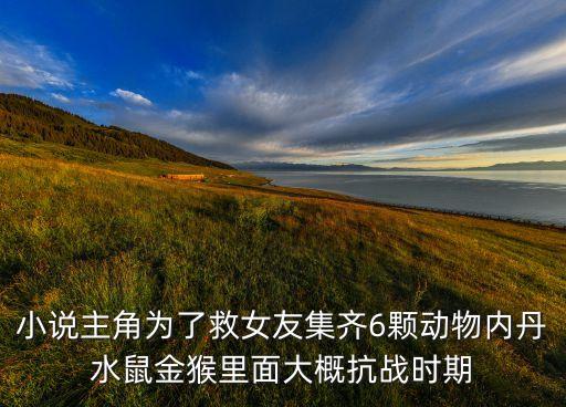小說主角為了救女友集齊6顆動(dòng)物內(nèi)丹水鼠金猴里面大概抗戰(zhàn)時(shí)期