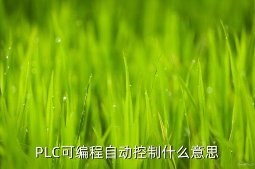PLC可編程自動控制什么意思