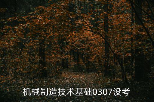 機械制造技術(shù)基礎(chǔ)0307沒考