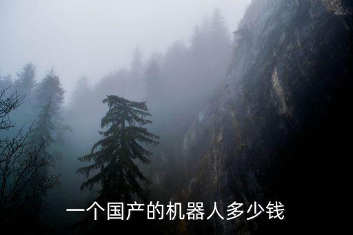 一個國產(chǎn)的機(jī)器人多少錢