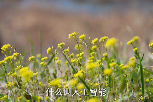 人工智能技術概念是什么意思，什么是人工智能
