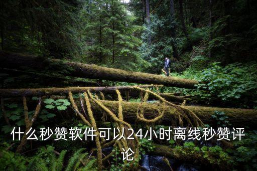 什么秒贊軟件可以24小時(shí)離線秒贊評(píng)論
