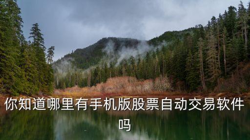 你知道哪里有手機(jī)版股票自動(dòng)交易軟件嗎