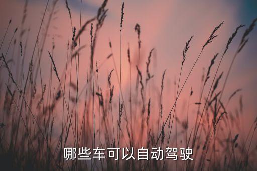 哪些車可以自動(dòng)駕駛