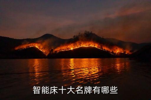 智能床十大名牌有哪些