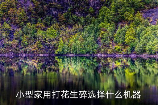 小型家用打花生碎選擇什么機器