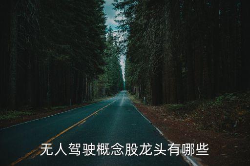 無(wú)人駕駛概念股龍頭有哪些
