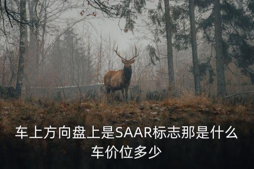 車上方向盤上是SAAR標(biāo)志那是什么車價位多少