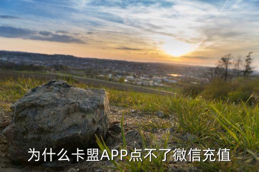 為什么卡盟APP點(diǎn)不了微信充值