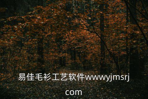 易佳毛衫工藝軟件wwwyjmsrjcom
