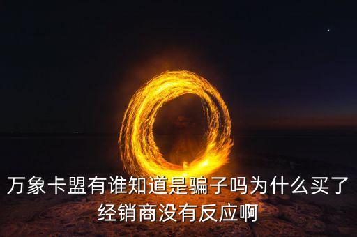 萬象卡盟有誰知道是騙子嗎為什么買了經(jīng)銷商沒有反應啊