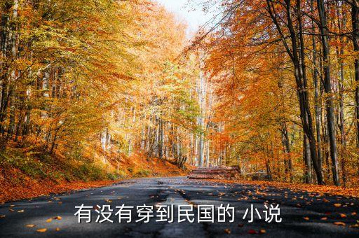 穿到民國開工廠作者 不吃糖包，求一本穿越到民國左右的小說