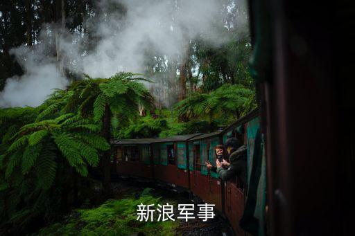 新浪軍事