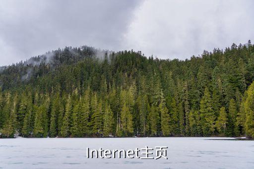 Internet主頁(yè)