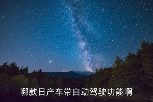 哪款日產(chǎn)車帶自動(dòng)駕駛功能啊