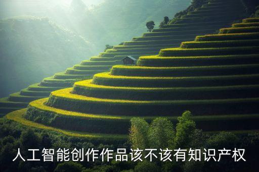 人工智能創(chuàng)作作品該不該有知識產(chǎn)權