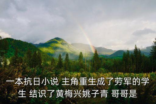 一本抗日小說 主角重生成了勞軍的學(xué)生 結(jié)識了黃梅興姚子青 哥哥是