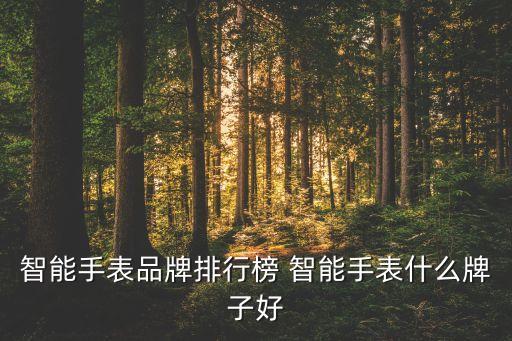 智能手表品牌排行榜 智能手表什么牌子好