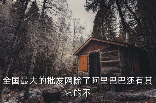 全國(guó)最大的批發(fā)網(wǎng)除了阿里巴巴還有其它的不