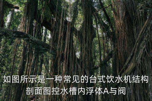 如圖所示是一種常見(jiàn)的臺(tái)式飲水機(jī)結(jié)構(gòu)剖面圖控水槽內(nèi)浮體A與閥