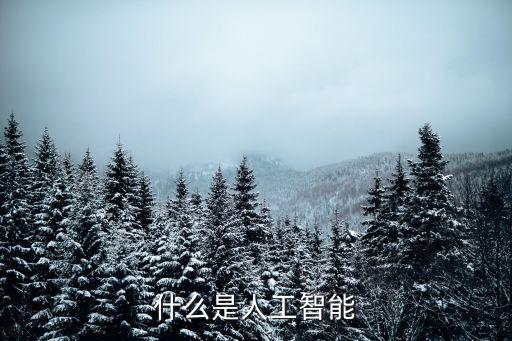 什么是人工智能