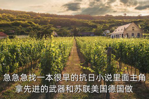 抗戰(zhàn)之軍工元帥全本，求好看的抗戰(zhàn)小說