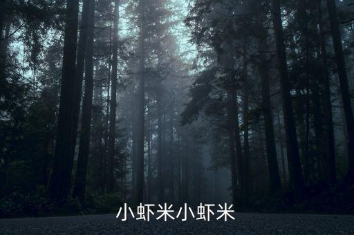 小蝦米小蝦米