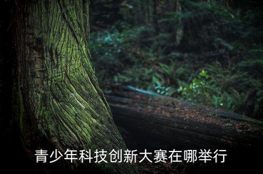青少年科技創(chuàng)新大賽在哪舉行