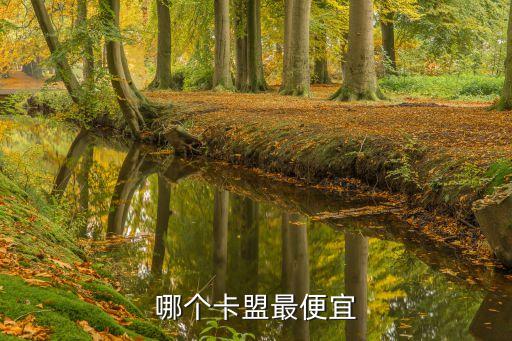 哪個(gè)卡盟最便宜