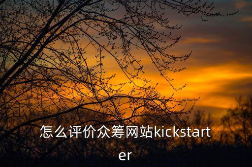 怎么評價(jià)眾籌網(wǎng)站kickstarter