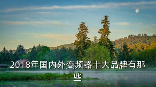 2018年國內(nèi)外變頻器十大品牌有那些