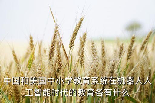 中國和美國中小學(xué)教育系統(tǒng)在機(jī)器人人工智能時代的教育各有什么
