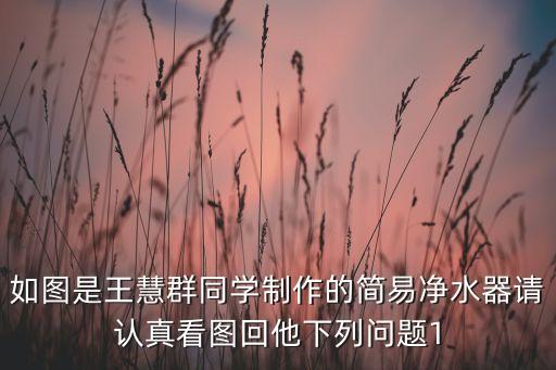 如圖是王慧群同學制作的簡易凈水器請認真看圖回他下列問題1