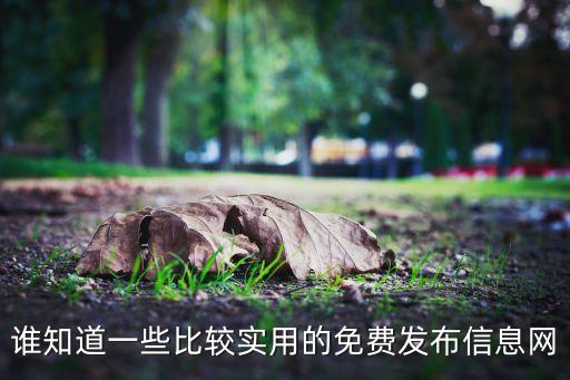 黑科技信息網(wǎng)，實用有人氣的免費發(fā)布信息網(wǎng)有哪些