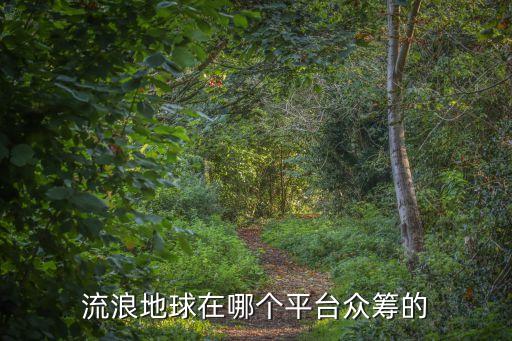流浪地球在哪個(gè)平臺(tái)眾籌的