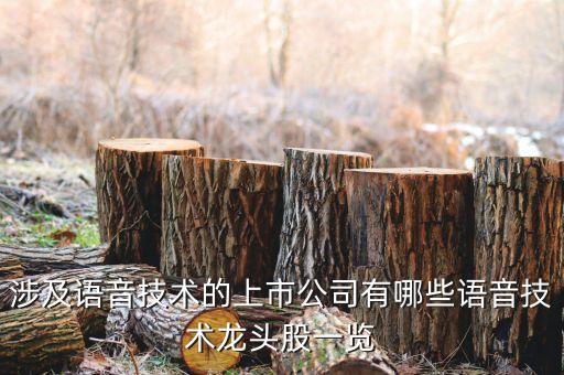 涉及語(yǔ)音技術(shù)的上市公司有哪些語(yǔ)音技術(shù)龍頭股一覽