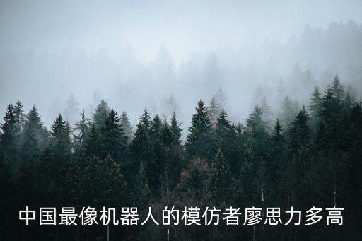 中國最像機器人的模仿者廖思力多高