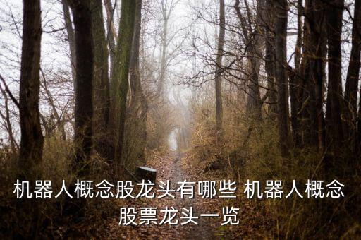 機(jī)器人概念股龍頭有哪些 機(jī)器人概念股票龍頭一覽