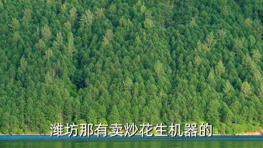 哪里有賣炒花生機(jī)器的，濰坊那有賣炒花生機(jī)器的