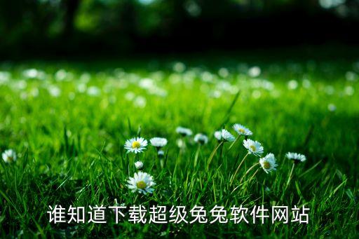 誰知道下載超級(jí)兔兔軟件網(wǎng)站