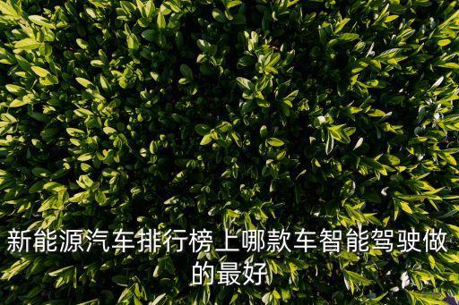 新能源汽車排行榜上哪款車智能駕駛做的最好