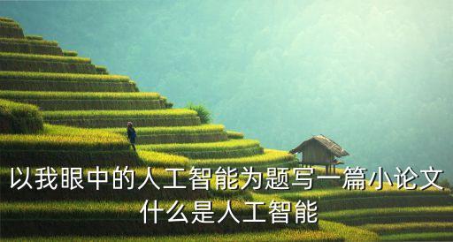 以我眼中的人工智能為題寫一篇小論文 什么是人工智能