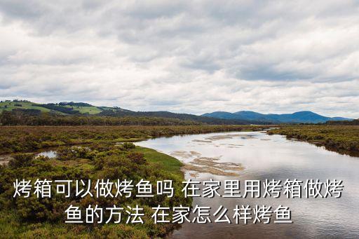 烤箱可以做烤魚嗎 在家里用烤箱做烤魚的方法 在家怎么樣烤魚