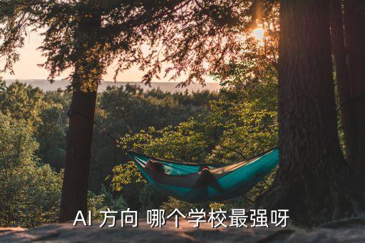 AI大學排名，AI 方向 哪個學校最強呀