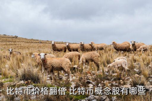 比特幣價格翻倍 比特幣概念股有哪些