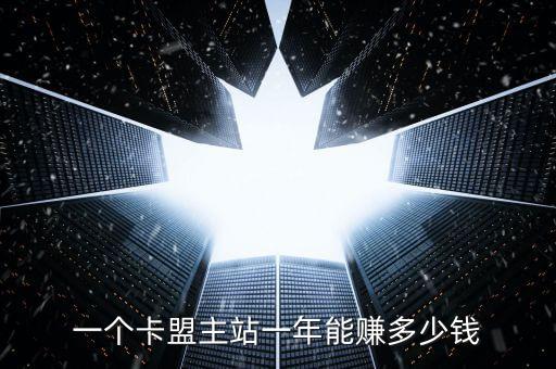 一個(gè)卡盟主站一年能賺多少錢