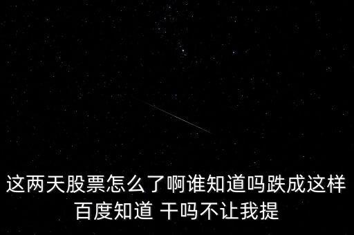 紫天科技股吧，科技股百度吧