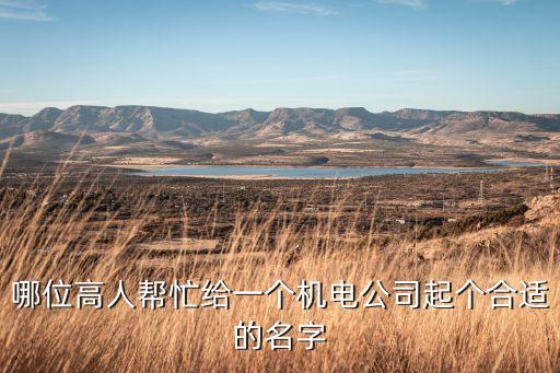 哪位高人幫忙給一個機電公司起個合適的名字