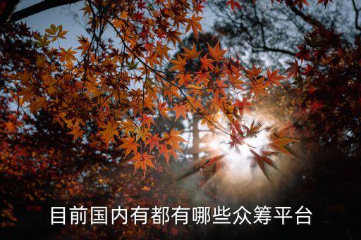 眾籌項目平臺，目前國內有都有哪些眾籌平臺