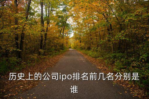 歷史上的公司ipo排名前幾名分別是誰
